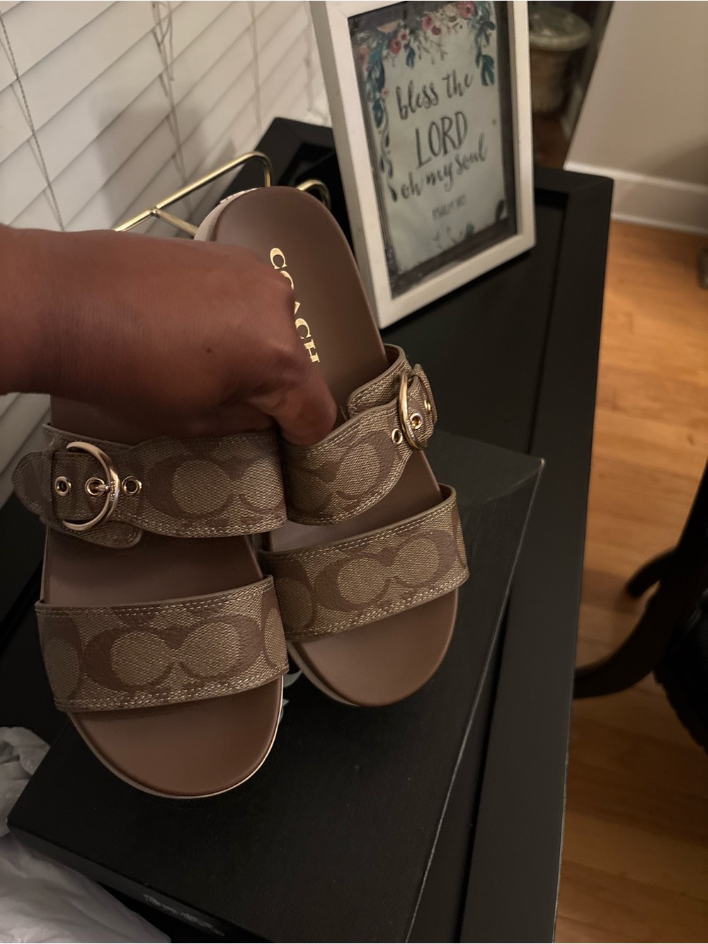 Coach Brown and Beige Signature Double-Strap Slides - Picture 5 of 6